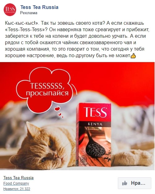 Милый котик от Tess Милый котик от Tess